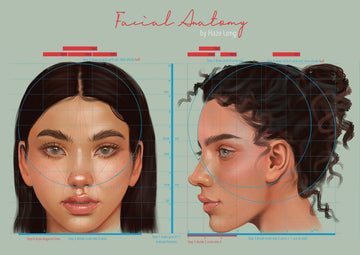 Facial Anatomy Reference Print
